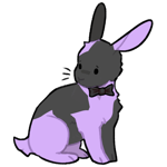 Rabbit10215-17-7-4-62.png