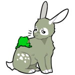 Rabbit10240-23-29-3-108.png