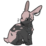 Rabbit10400-22-22-3-70.png