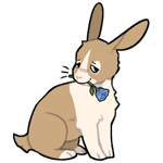 Rabbit10429-7-3-3-98.png