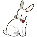 Rabbit10449-1-2-4-65.png