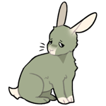 Rabbit11000-23-8-3-0.png