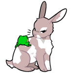 Rabbit11002-22-21-5-108.png