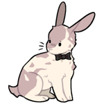 Rabbit11415-22-22-4-62.png