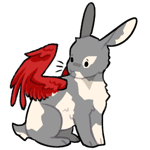 Rabbit11515-3-21-4-21.png