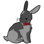 Rabbit11881-3-7-2-59.png