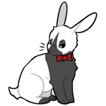 Rabbit11996-1-3-2-59.png