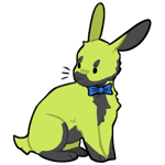 Rabbit3241-18-1-4-60.png