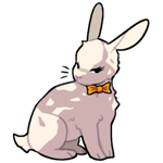 Rabbit3384-22-24-5-61.png