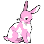 Rabbit3437-19-21-5-0.png