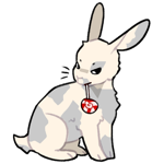 Rabbit3737-2-25-2-109.png