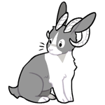 Rabbit4059-3-3-4-72.png
