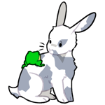 Rabbit4065-24-25-4-108.png