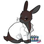 Rabbit4555-10-1-5-94.png Rabbit4555-10-1-5-94.png