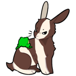 Rabbit4556-9-23-2-108.png Rabbit4556-9-23-2-108.png