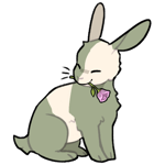 Rabbit4706-23-5-1-64.png