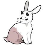 Rabbit5044-22-20-2-80.png Rabbit5044-22-20-2-80.png