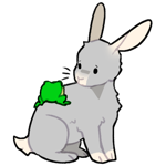 Rabbit5046-2-8-4-108.png Rabbit5046-2-8-4-108.png