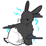 Rabbit5229-1-20-2-104.png