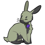Rabbit5386-23-1-1-66.png