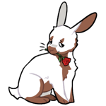 Rabbit5602-8-14-3-65.png