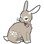 Rabbit5902-21-29-5-64.png
