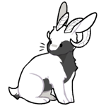 Rabbit5917-1-4-4-72.png