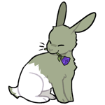 Rabbit6209-23-19-1-66.png
