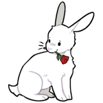 Rabbit6228-1-23-4-65.png