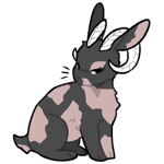 Rabbit6266-22-25-5-72.png