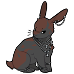Rabbit6279-9-22-2-70.png