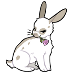 Rabbit6505-21-15-5-64.png