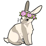 Rabbit6506-21-26-2-50.png