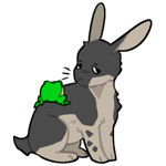 Rabbit6516-21-27-3-108.png