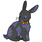 Rabbit6550-14-25-4-61.png