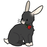 Rabbit6616-4-8-4-65.png