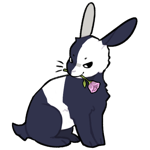 Rabbit 6679