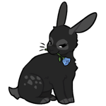 Rabbit6741-5-29-5-98.png