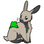 Rabbit6873-21-1-5-108.png