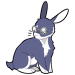Rabbit7009-14-1-2-18.png