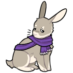 Rabbit7376-21-1-3-5.png