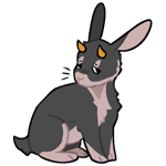 Rabbit 8045