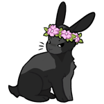 Rabbit8255-5-6-2-50.png