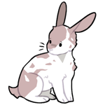 Rabbit8441-22-22-4-0.png