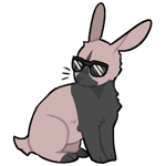 Rabbit8825-22-3-3-19.png