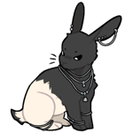 Rabbit9042-4-19-2-70.png