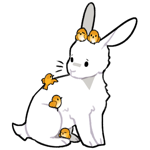 Rabbit9050-1-3-4-89.png