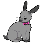 Rabbit9066-3-8-2-63.png