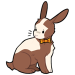 Rabbit9146-8-6-4-61.png
