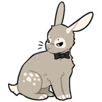 Rabbit9148-21-29-2-62.png